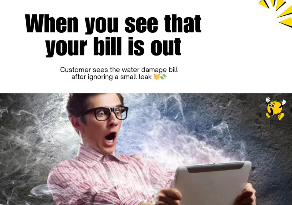 Plumbing Memes