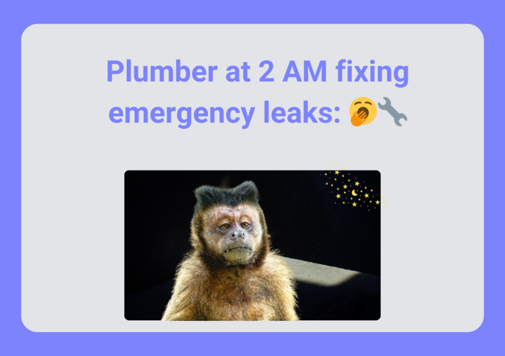 Plumbing Memes